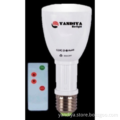 12V DC REMOTE LED BULB